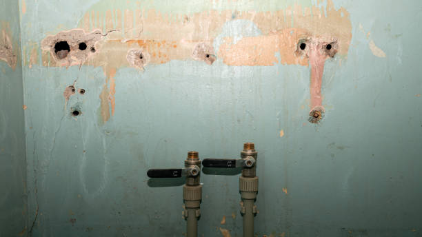 Best Water damage contractors near me  in West Loch Estate, HI